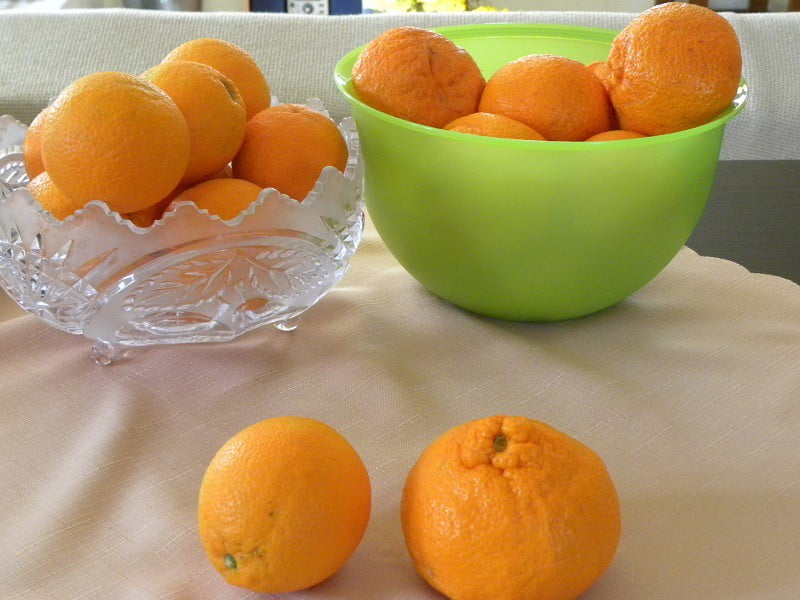 Mandarins and oranges image