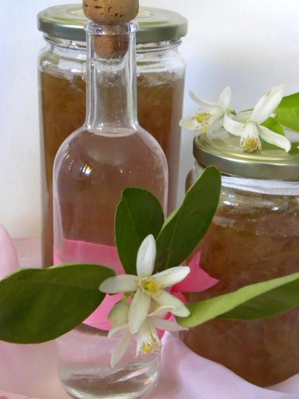 citrus blossom water with fruit preserves image