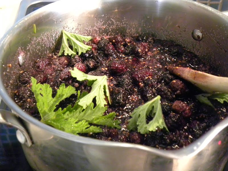 Mulberries with fragrant geranium image