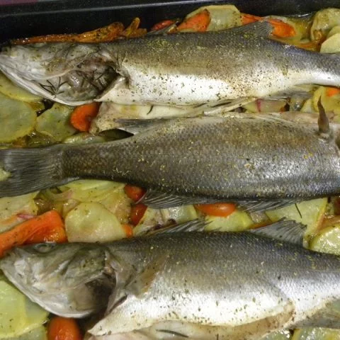 Lavraki plaki (sea bass) image