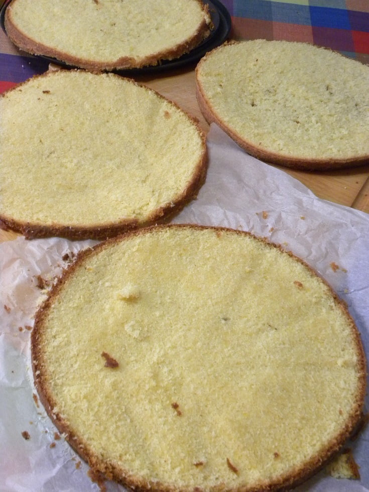 Sponge cut in four slices image