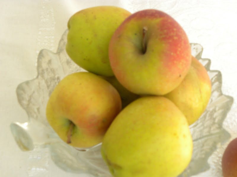 russet apples image