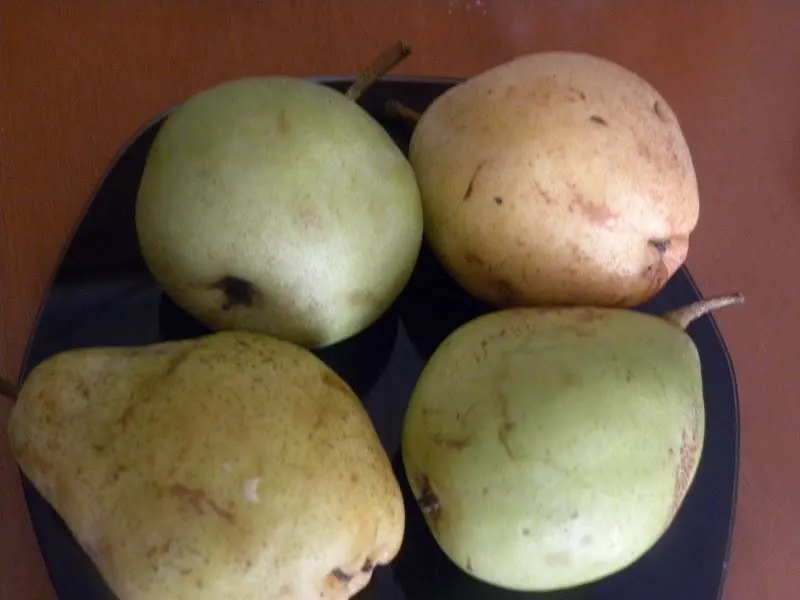 highland and voutyrou pears image
