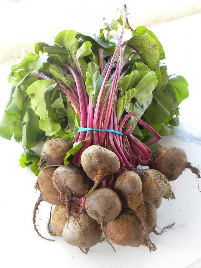 A bunch of baby beets image