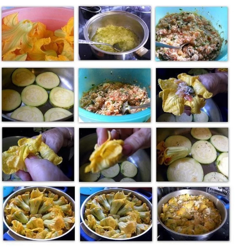 collage preparation of stuffed zucchini flowers kolokythoanthoi image