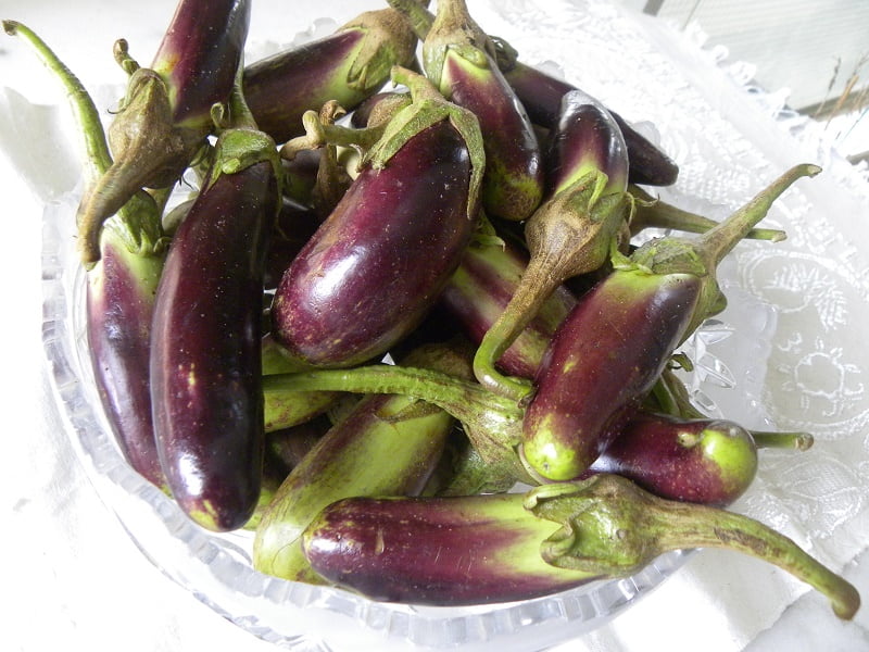baby eggplants image