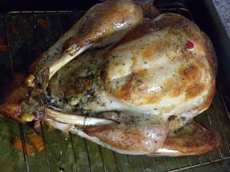 Basting the turkey with butter image