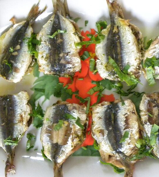 Marinated and Sandwiched Grilled Fresh Sardines