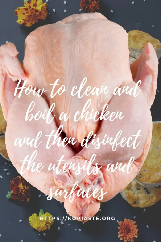 Collage How to clean and boil a chicken and then disinfect the utensils and surfaces image