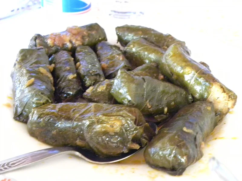 Cypriot dolmades in tomato sauce photo