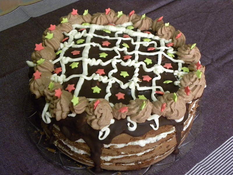 Stracciatella and Mocha Mars Chocolate Cake