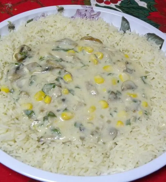 Turkey Fricassee with leftover roast turkey