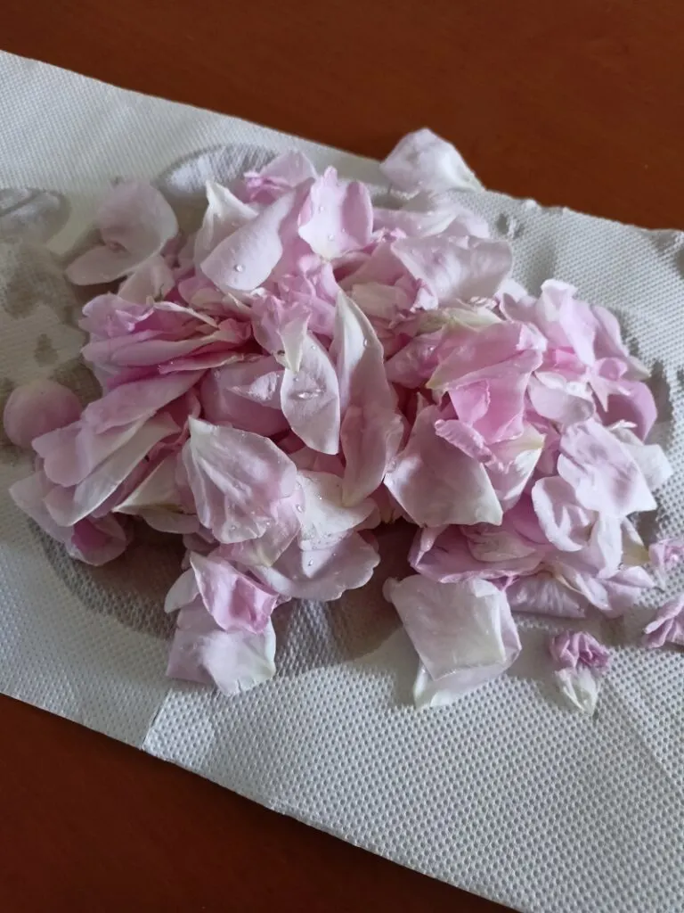 Drying the rose petals image