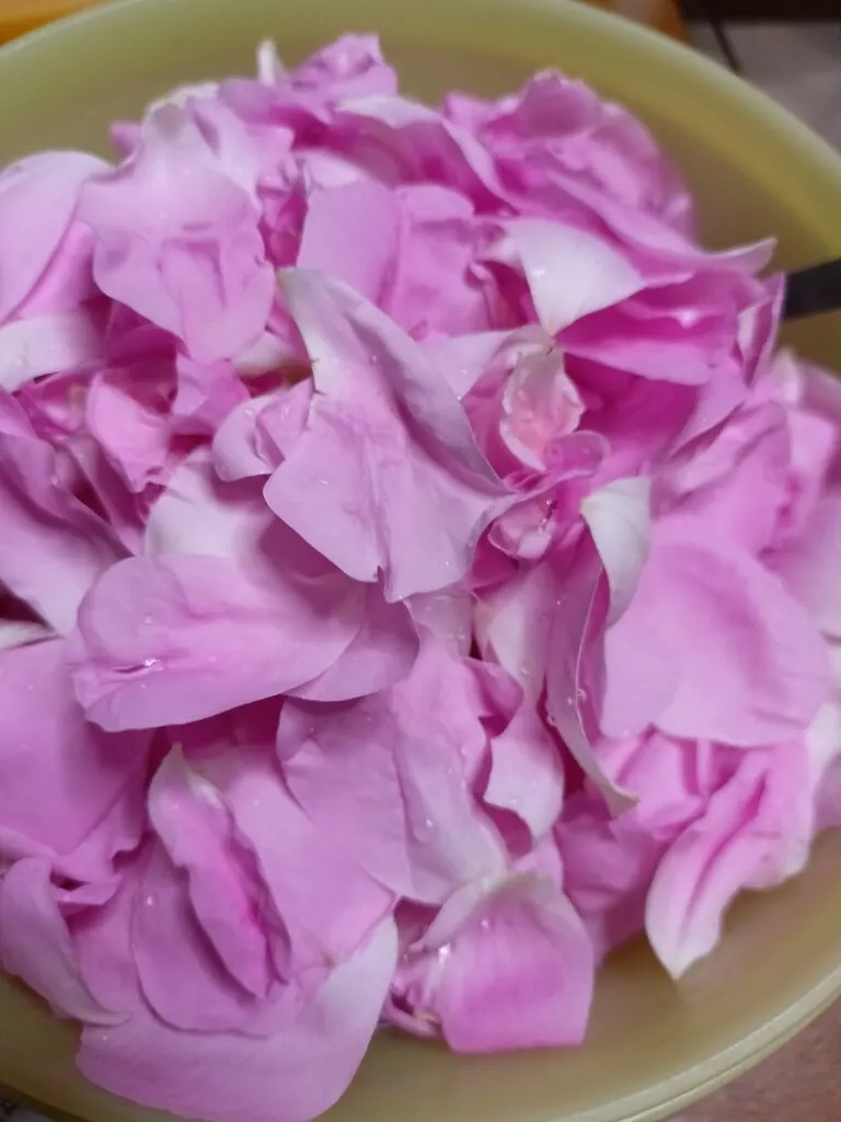 rose petals image