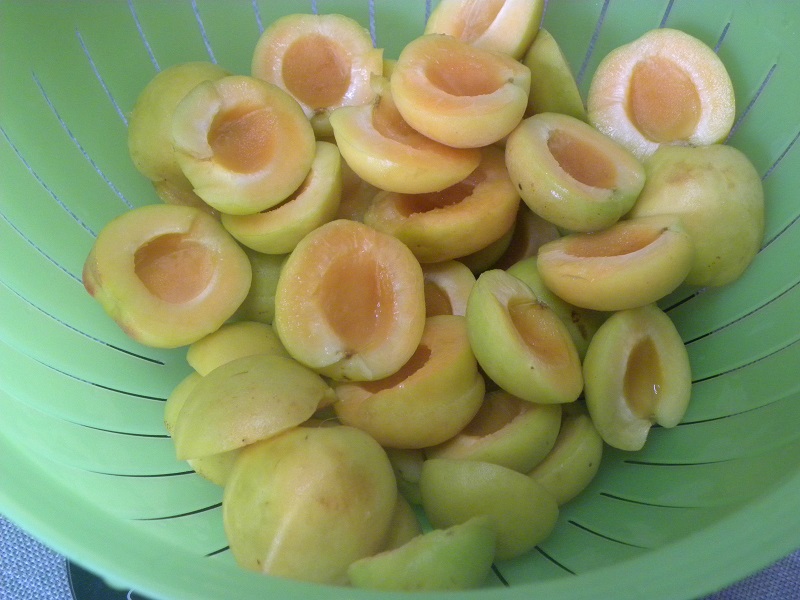 Apricots, washed, halved and stoned image