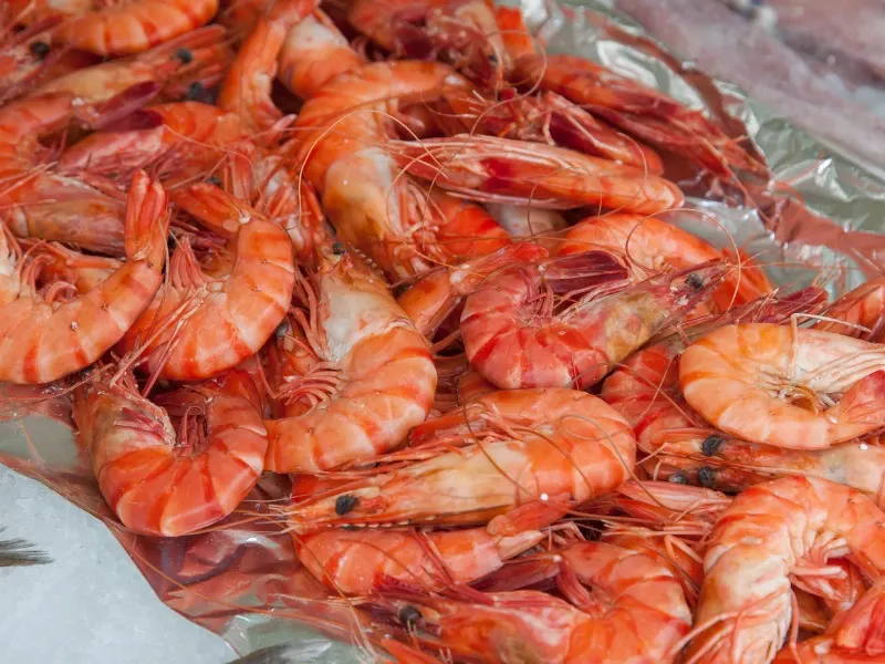 Fresh shrimp image