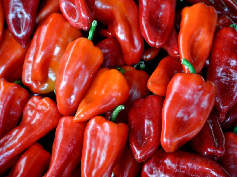 Red Florina Peppers image