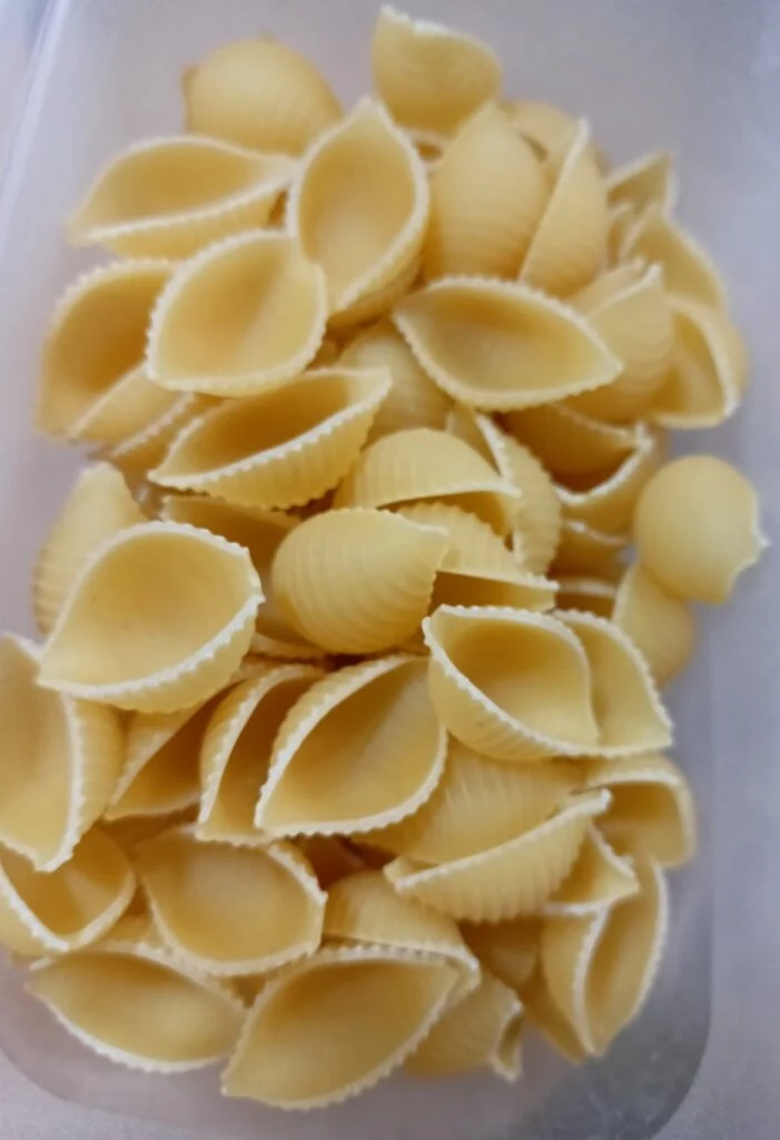 Small pasta shells image