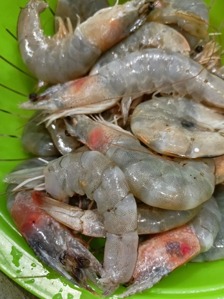 Fresh prawns image.jpg