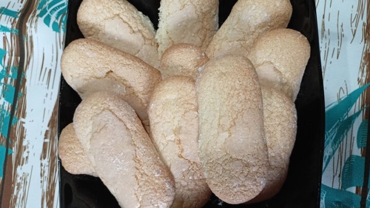 Homemade Savoiardi Cookies. picture